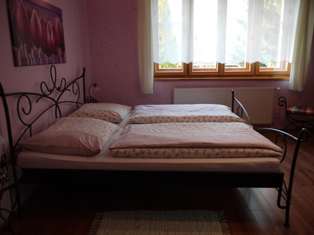 Apartmany Pemi Potštejn エクステリア 写真