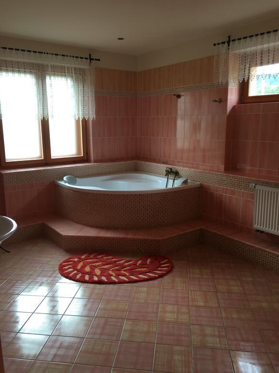 Apartmany Pemi Potštejn エクステリア 写真